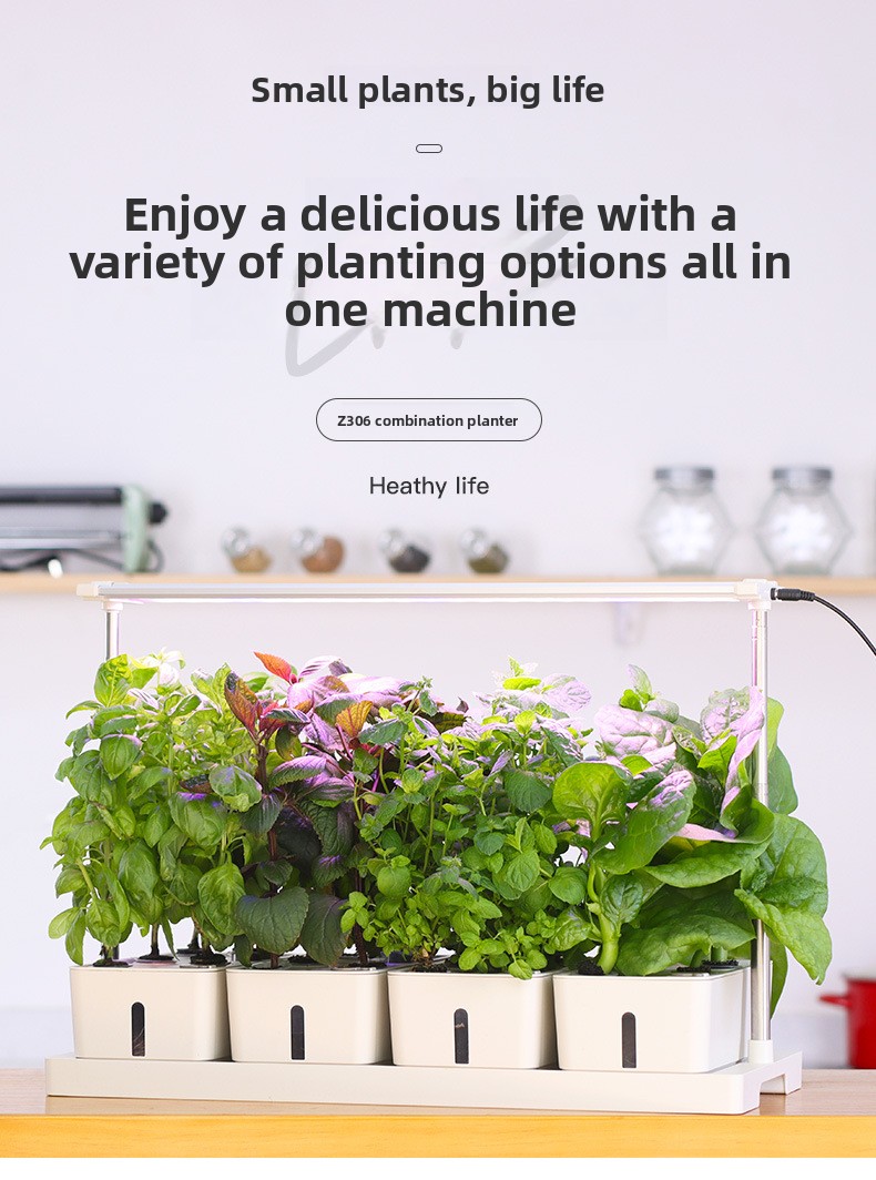 LED Specialized Greenhouse for Succulent Plants and Flowers for Indoor Use