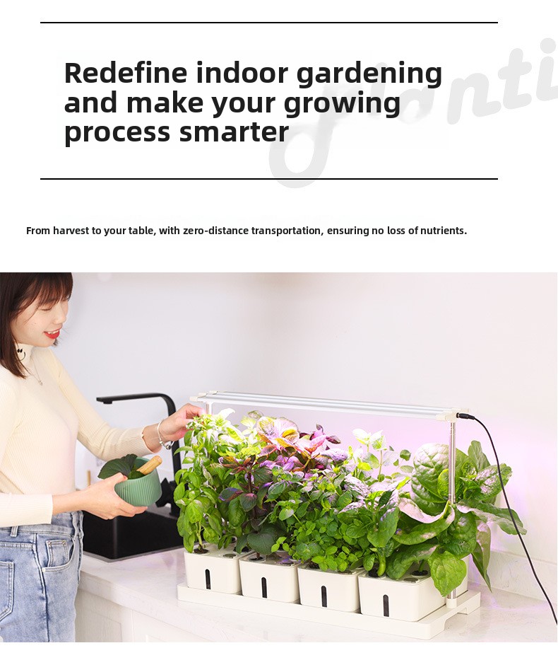 LED Specialized Greenhouse for Succulent Plants and Flowers for Indoor Use