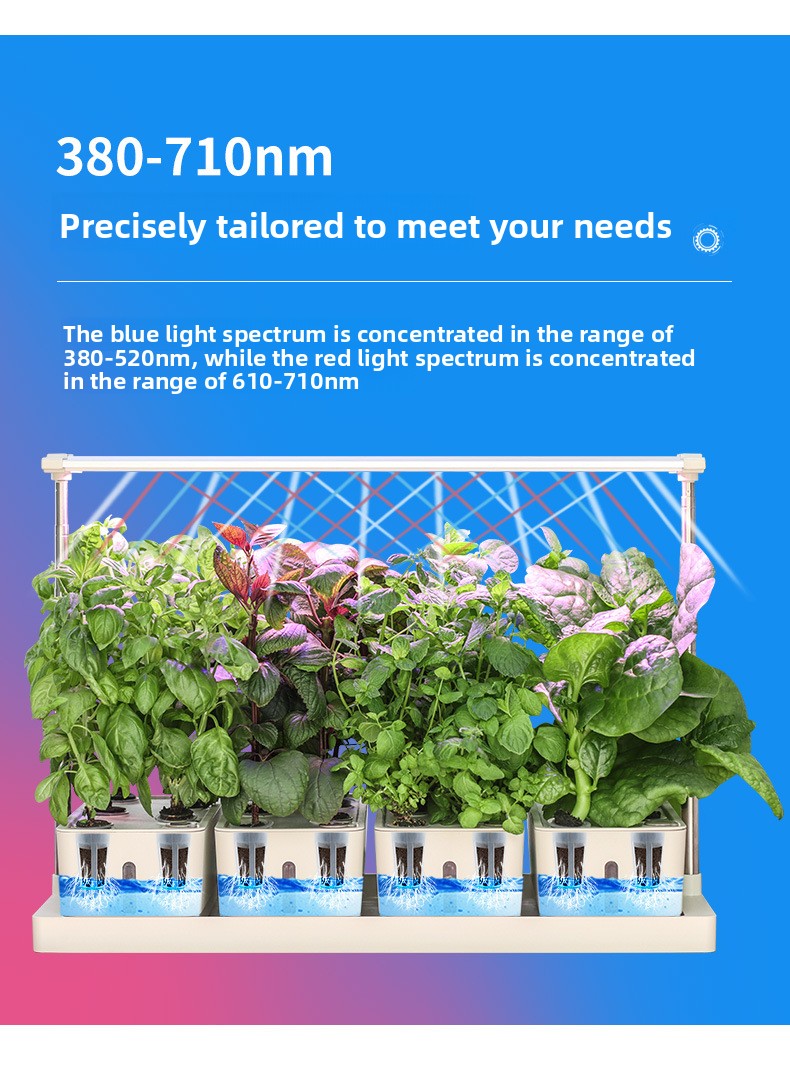 LED Specialized Greenhouse for Succulent Plants and Flowers for Indoor Use