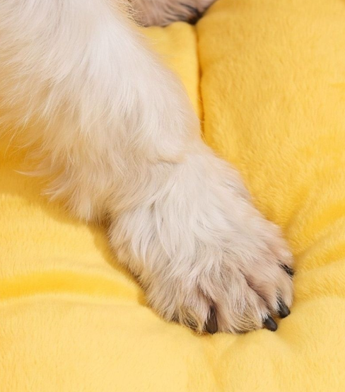 Cama para gatos con forma de plátano: imagen adicional