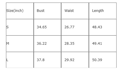 2025 New European and American Style Summer Feminine Tube Top Dress Sleeveless Long Skirt Slim Backless Dress for Women