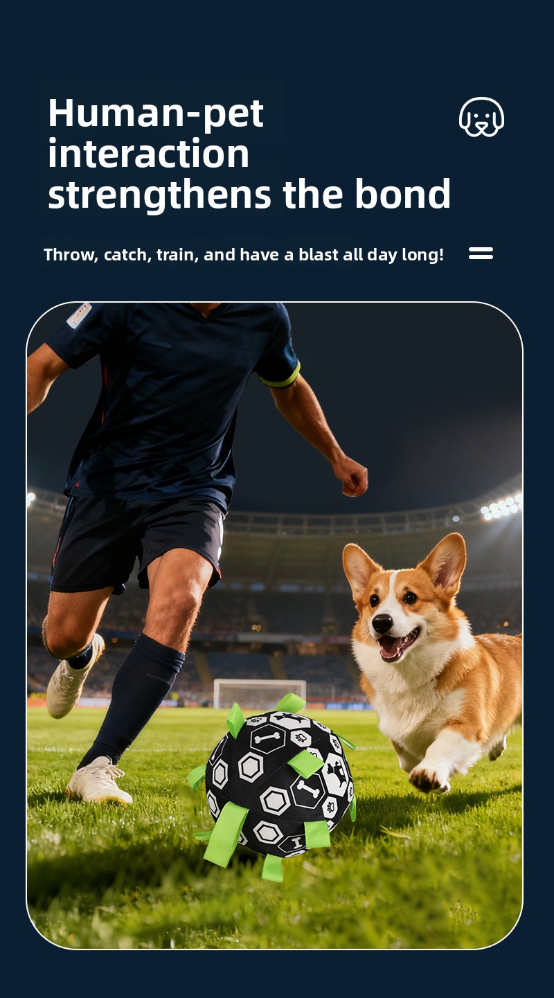 Interactive Durable Football