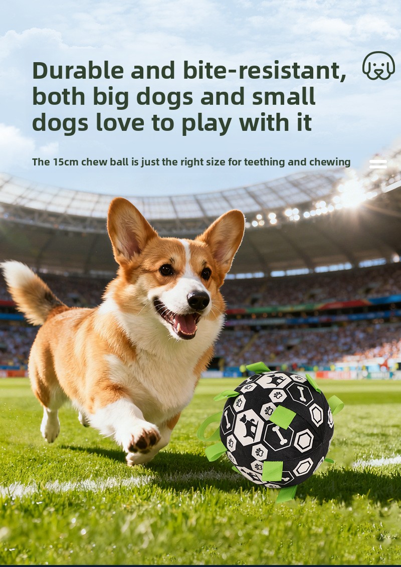 Interactive Durable Football