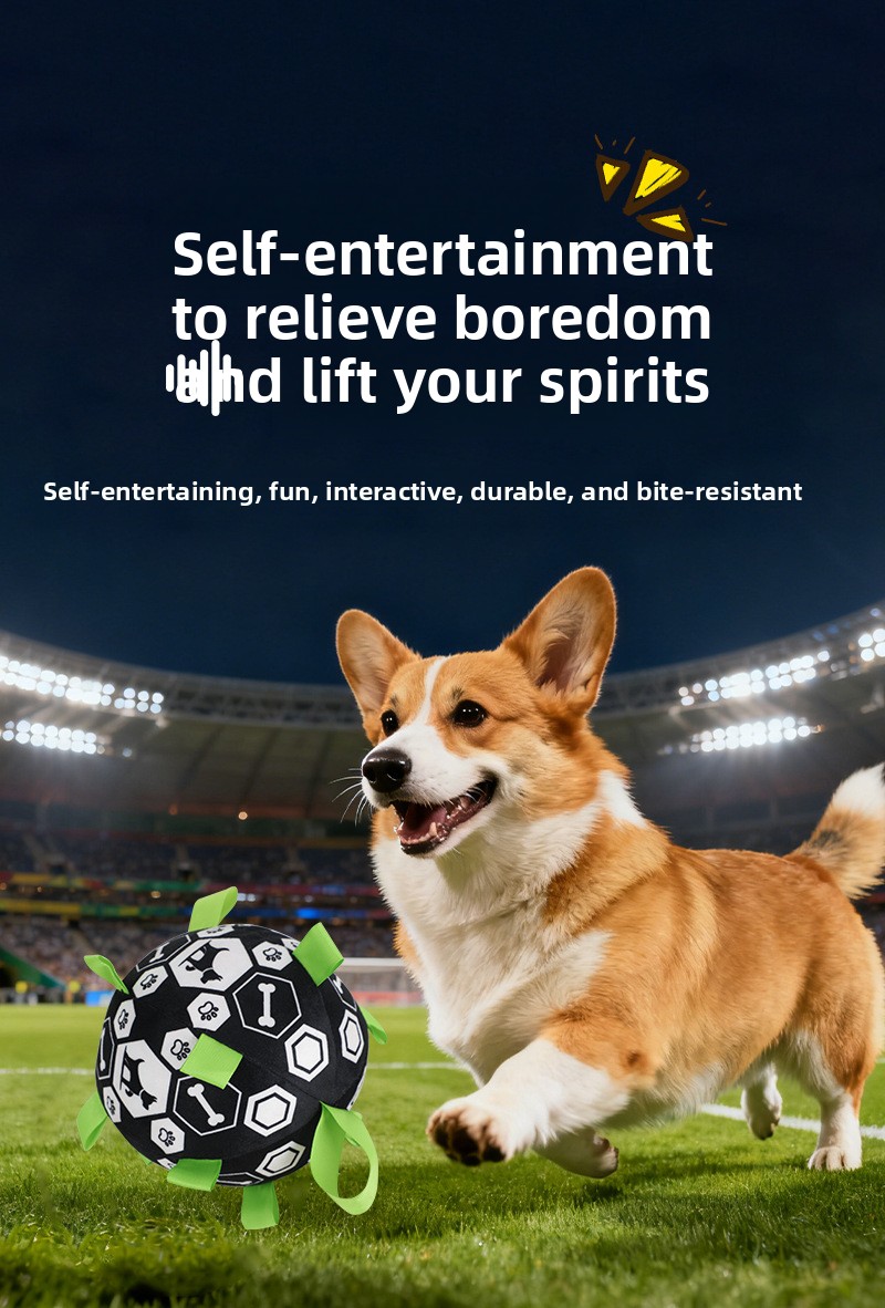 Interactive Durable Football