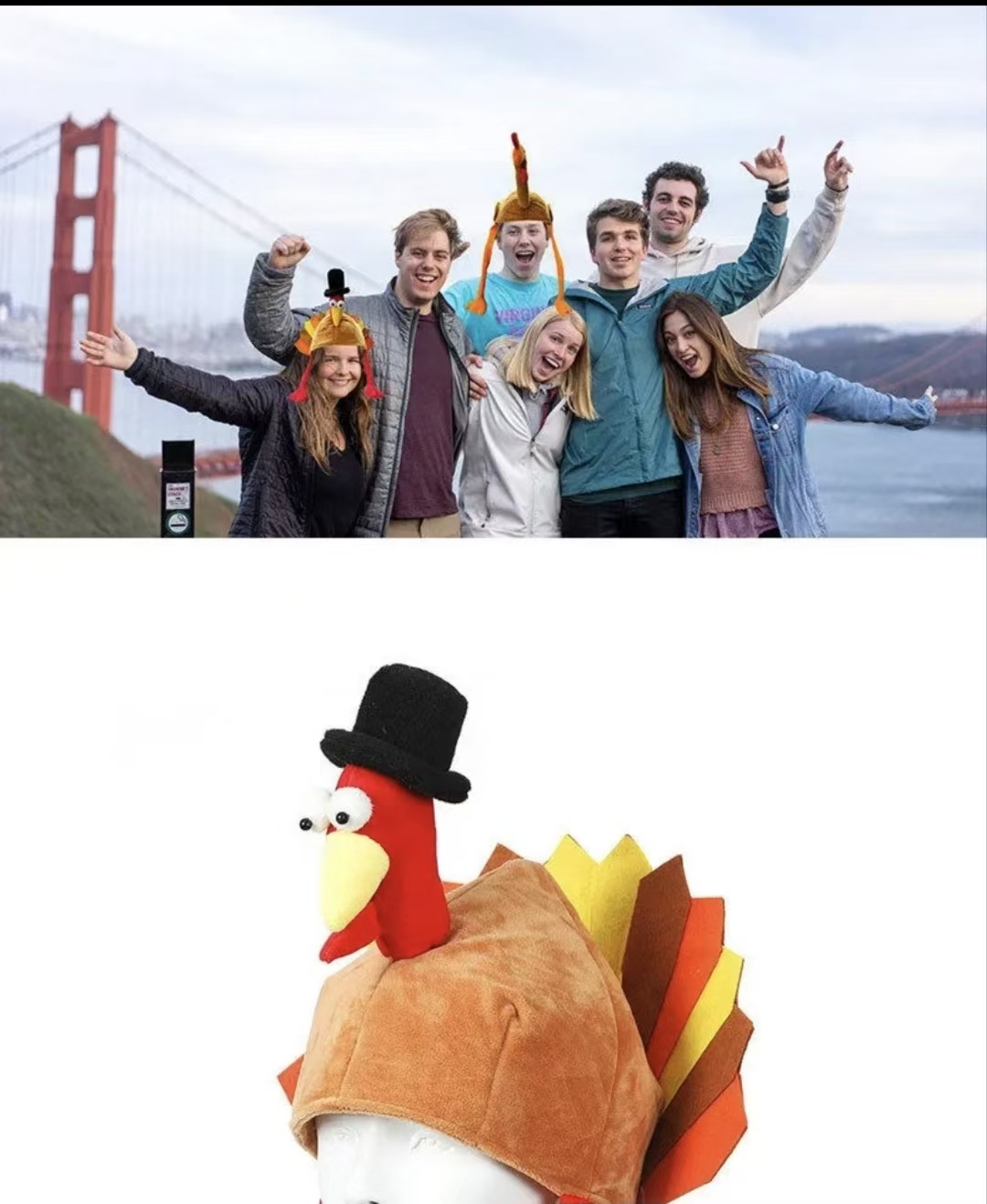 Turkey Headwear Party
