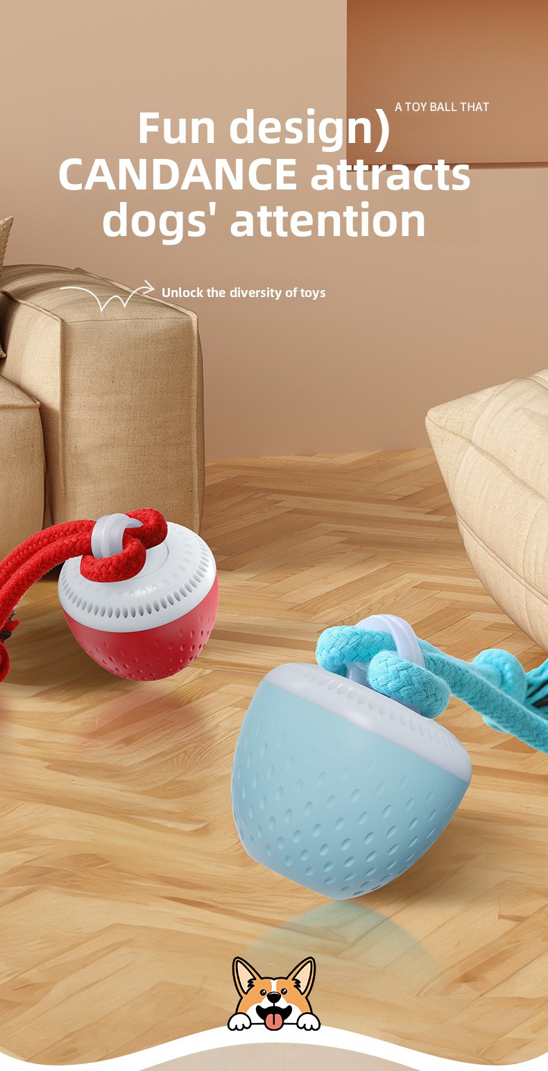 Interactive Rechargeable Dog Toy Ball