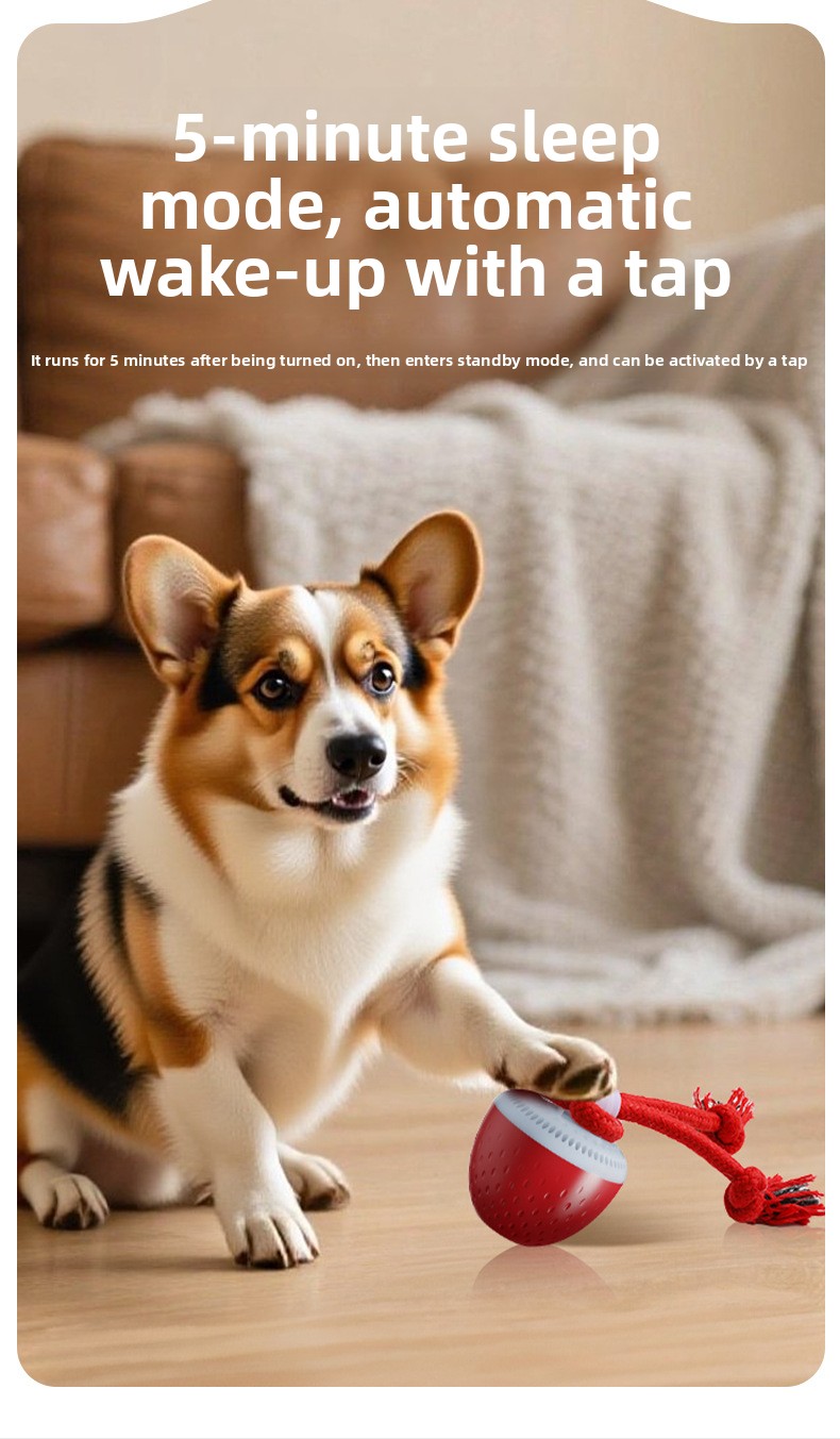 Interactive Rechargeable Dog Toy Ball