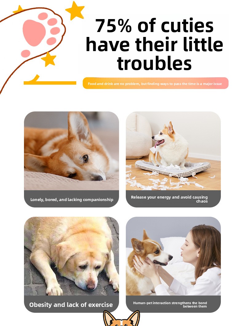 Interactive Rechargeable Dog Toy Ball