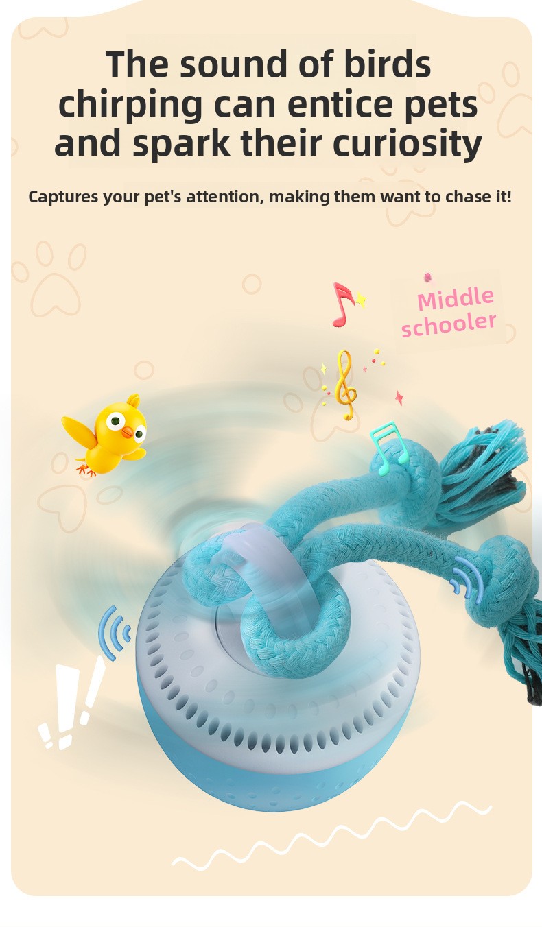 Interactive Rechargeable Dog Toy Ball