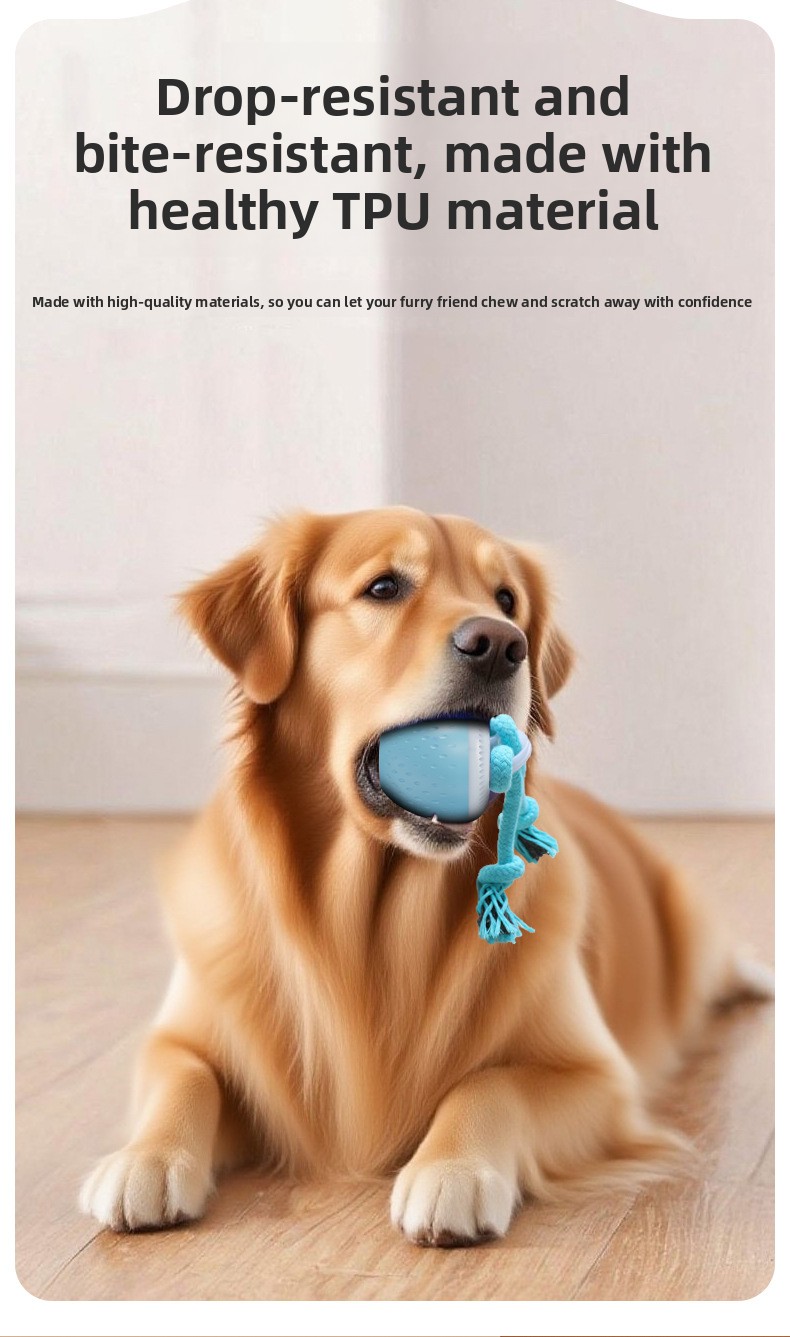 Interactive Rechargeable Dog Toy Ball