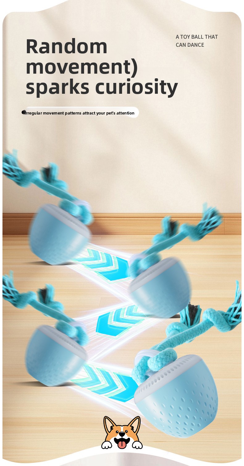 Interactive Rechargeable Dog Toy Ball