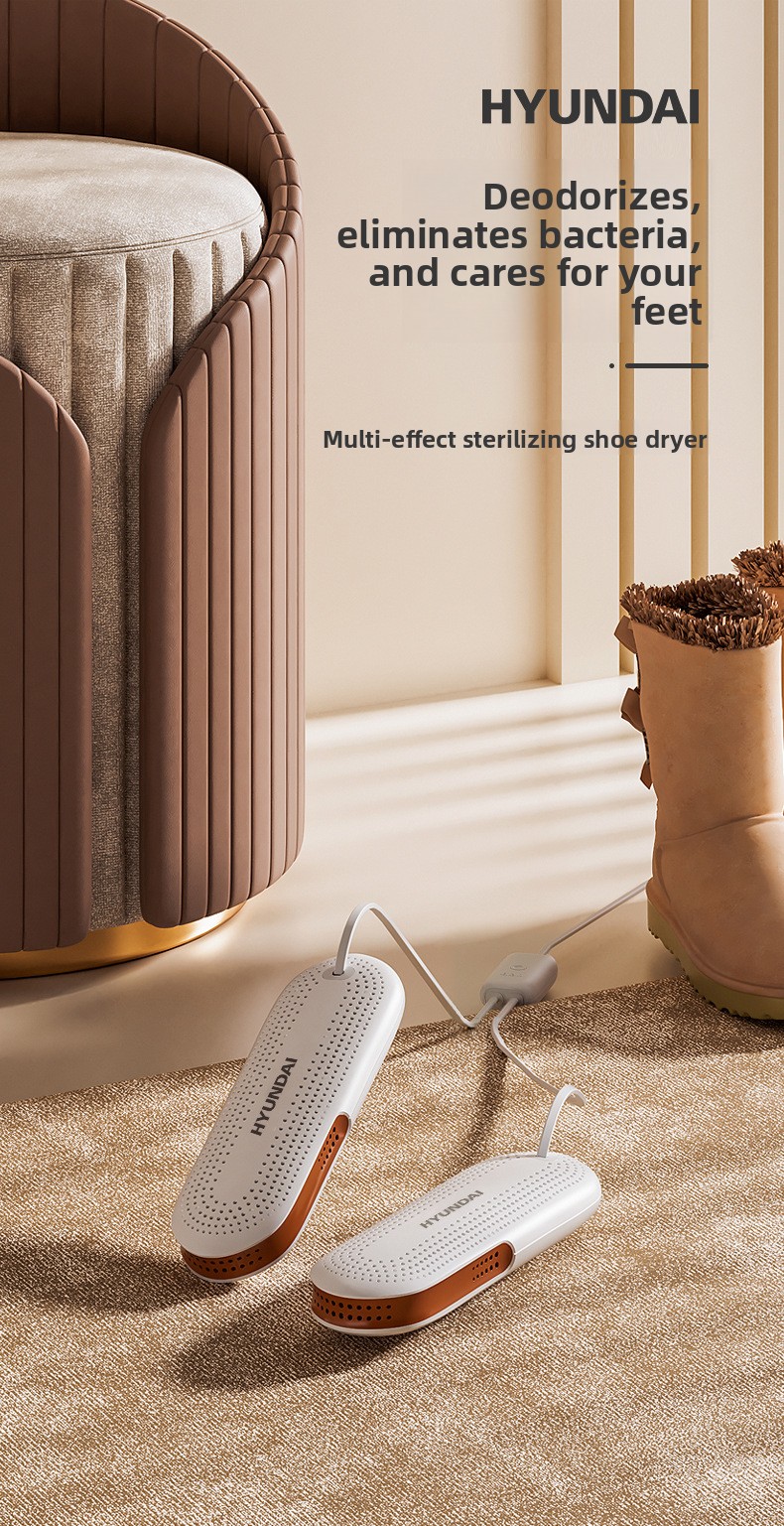 Portable Electric Shoe Dryer with Timer, Deodorizer and Sterilizer, Quick Drying Shoe Warmer for Home
