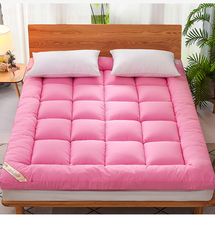 Plush 3D Quilted Velvet Mattress Topper Soft Dormitory Cushion