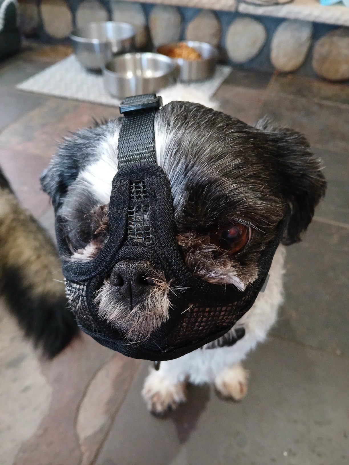 Breathable Dog Muzzle for French Bulldog Pug Anti Biting Pet Mask