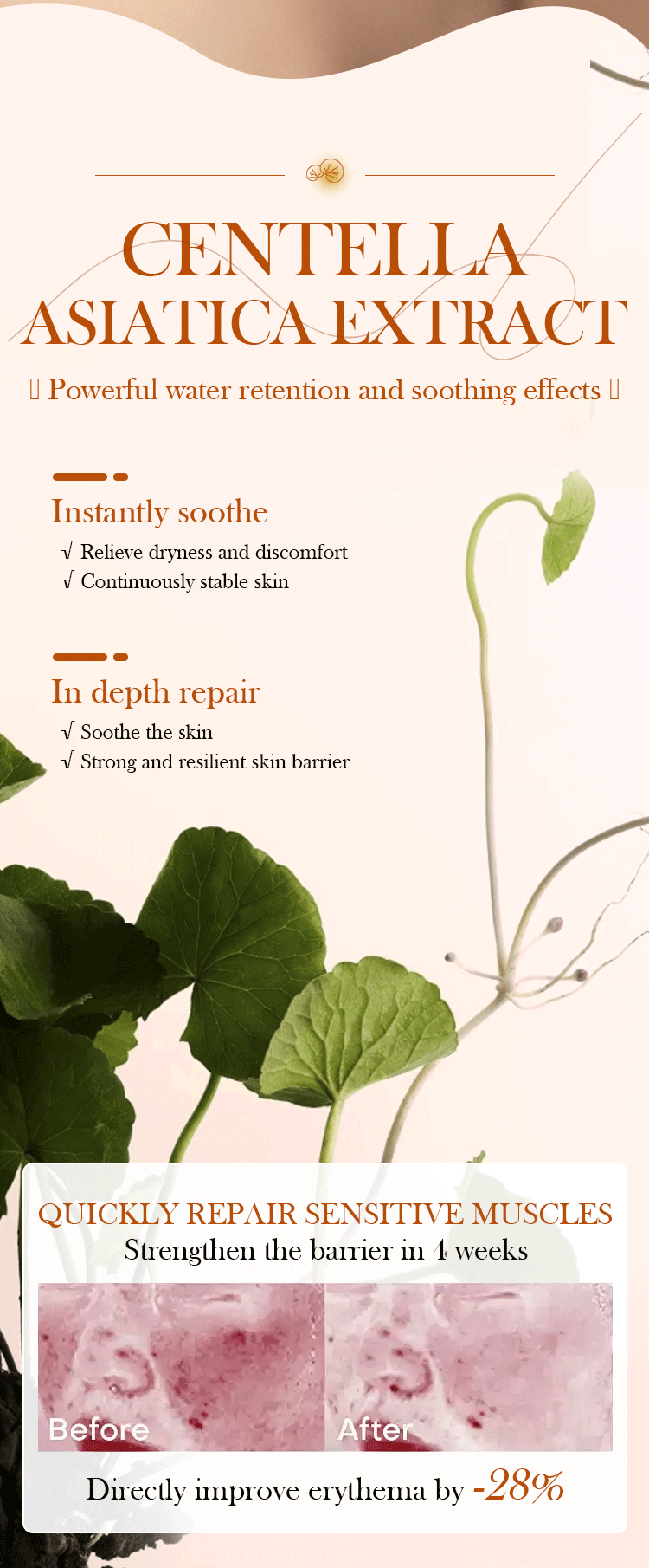 Centella Asiatica Toner and Lotion