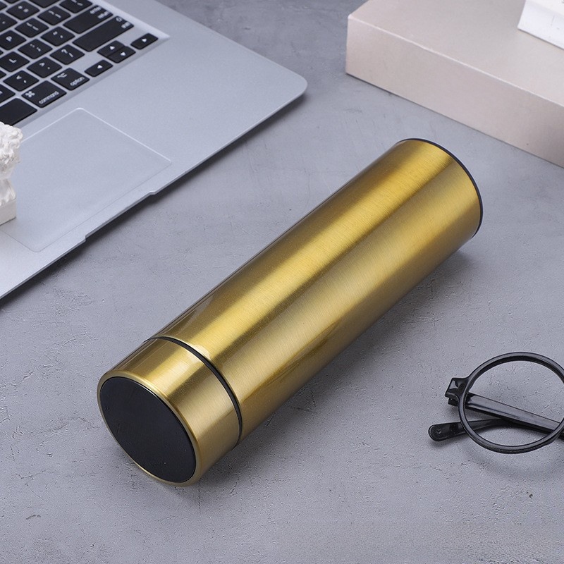 500ml Insulated Tea Bottle with LED Temperature Display Lid and Strainer