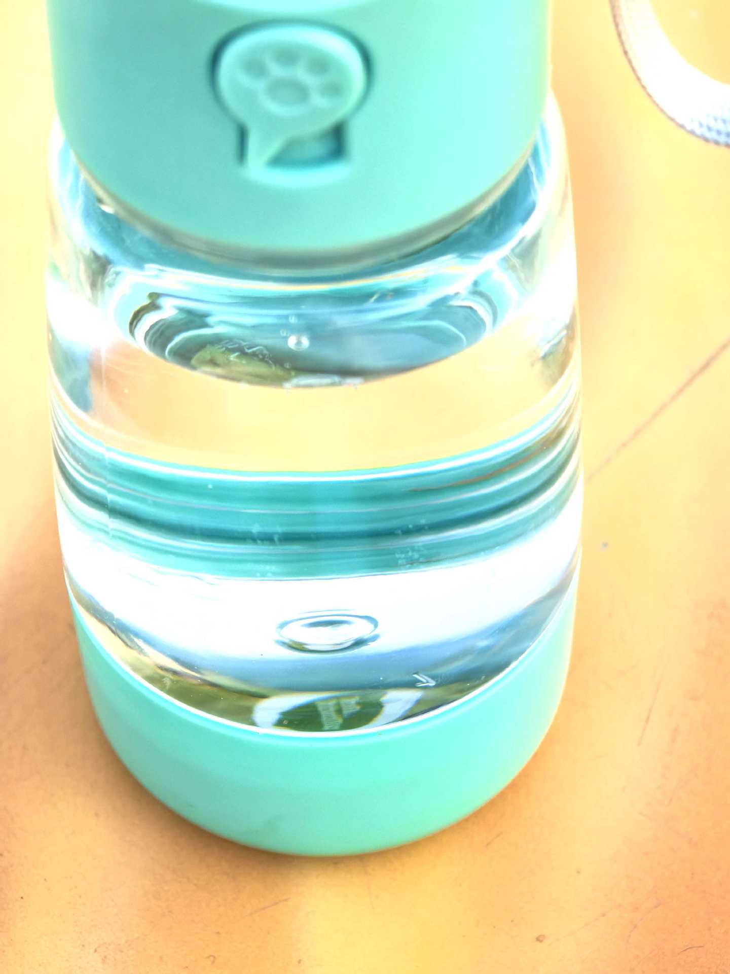 Pet Multi-Purpose Portable Outdoor Water Bottle