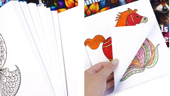 Adult Coloring Book, 24 Sheets, Mandala, Animal and Fantasy Themes