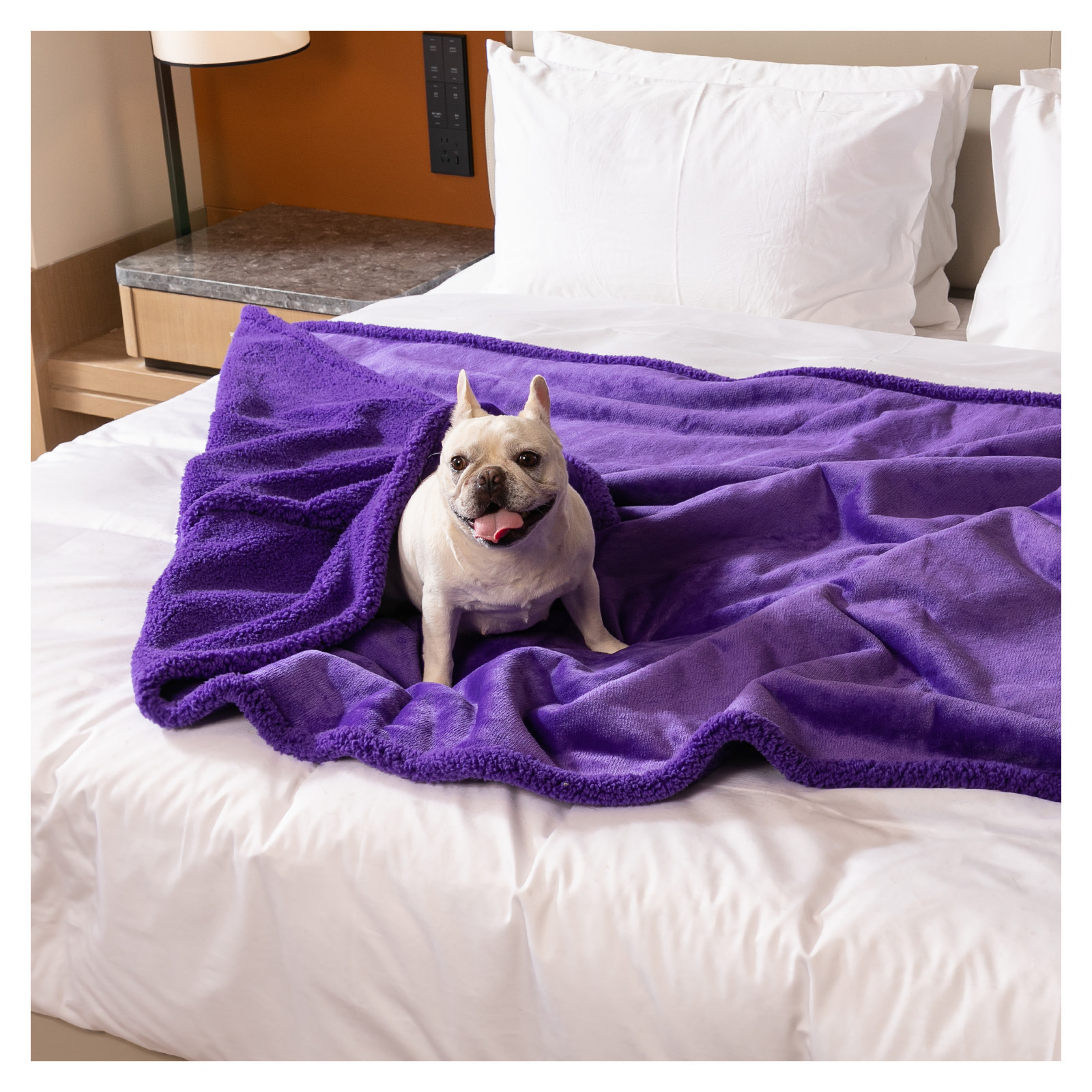 Reversible Flannel and Sherpa Pet Blanket with Lining Layer