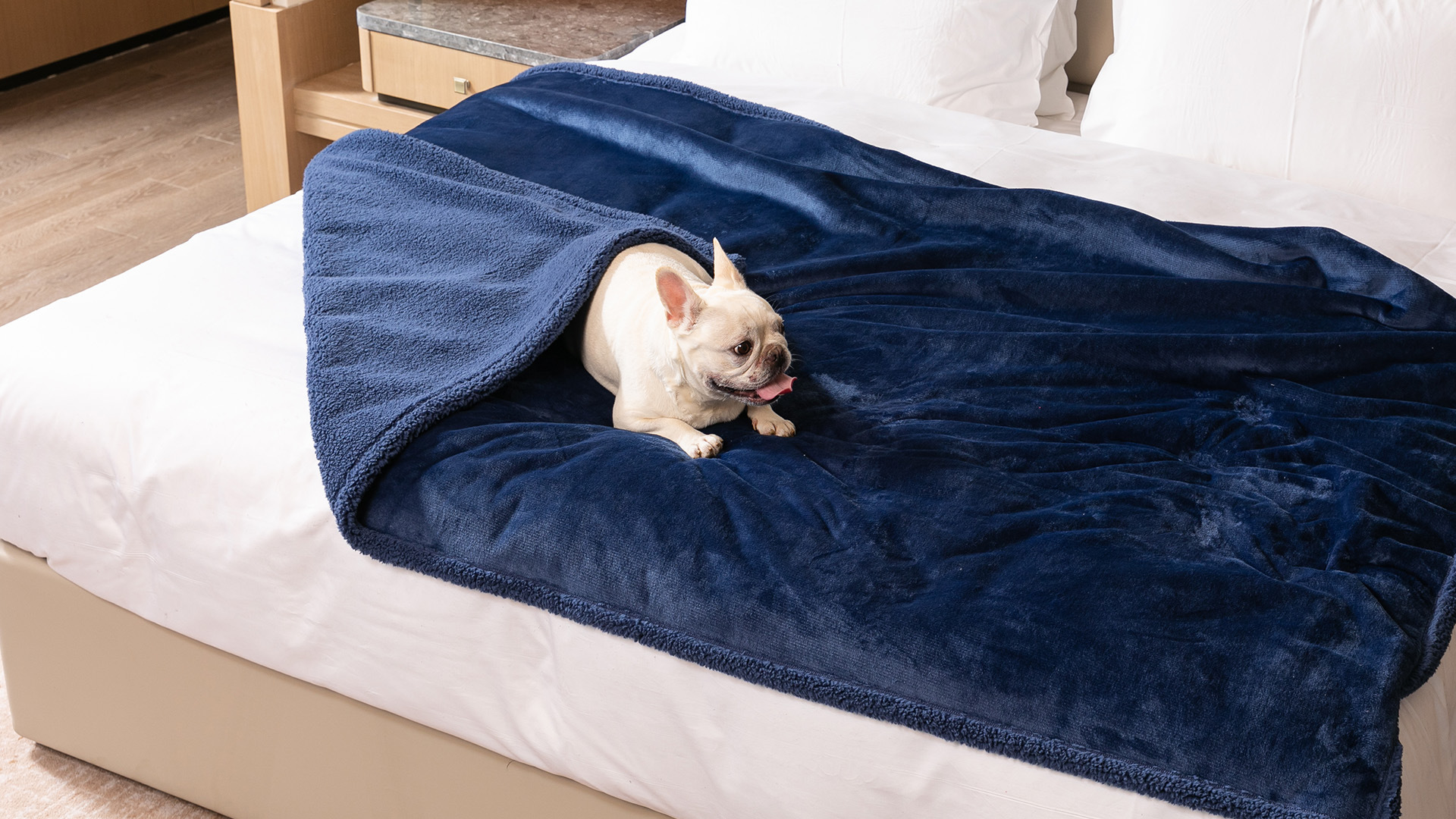 Reversible Flannel and Sherpa Pet Blanket with Lining Layer