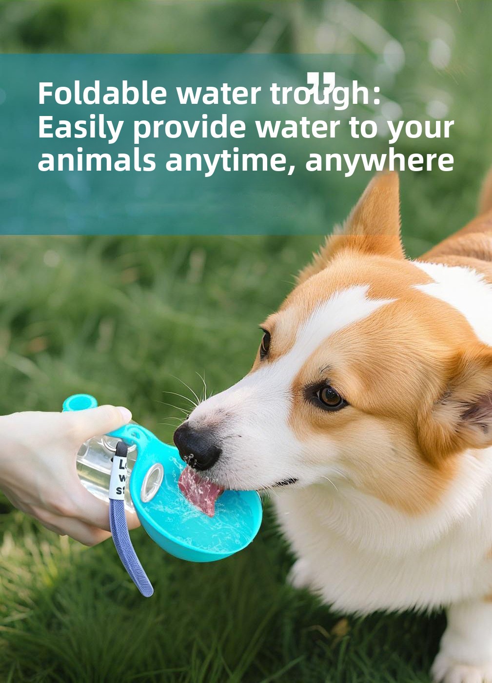 Foldable Portable Pet Water Bottle 285ml Large Capacity Outdoor Dog Cat Drinking Cup