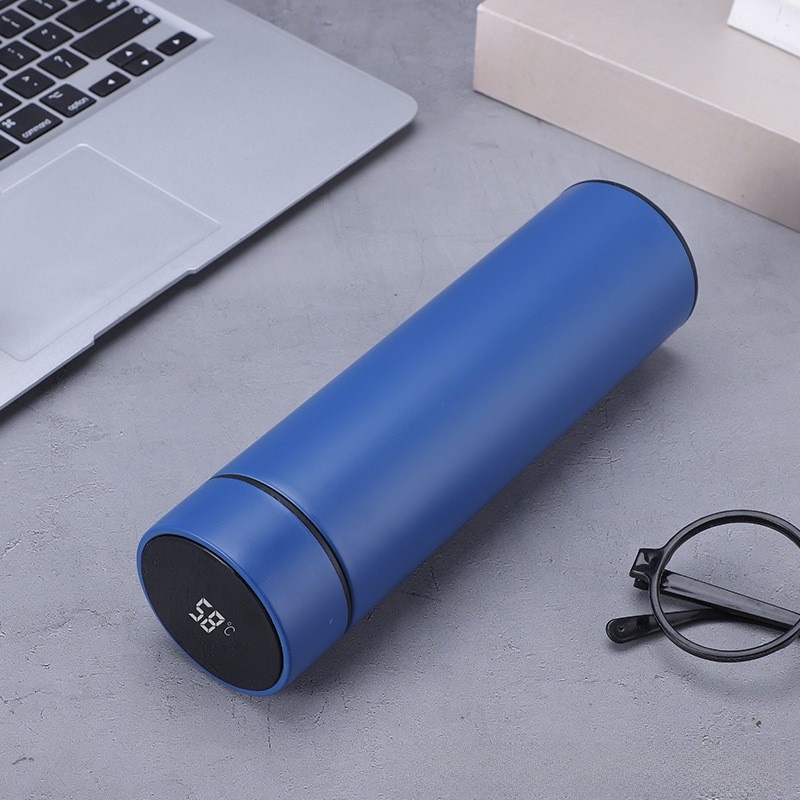 500ml Insulated Tea Bottle with LED Temperature Display Lid and Strainer