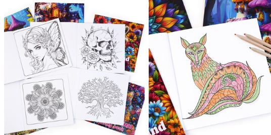 Adult Coloring Book, 24 Sheets, Mandala, Animal and Fantasy Themes