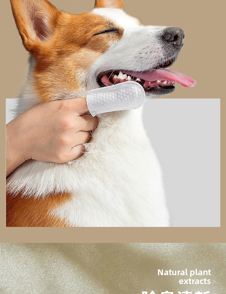 Disposable Non-Woven Pet Tooth Cleaning Finger Cots, 50 Pack