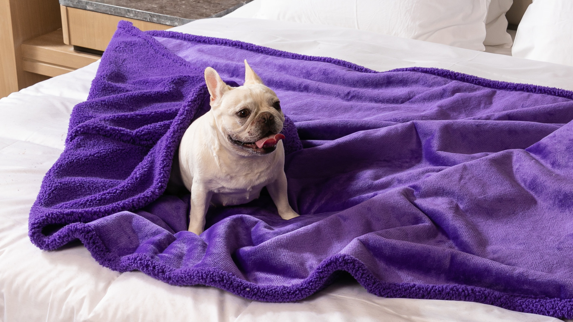 Reversible Flannel and Sherpa Pet Blanket with Lining Layer