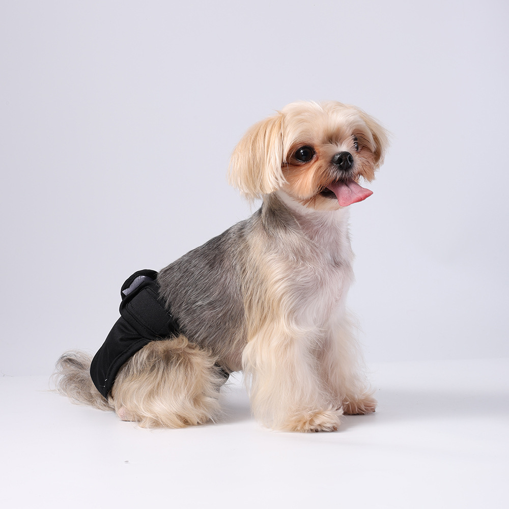 Dog physiological pants