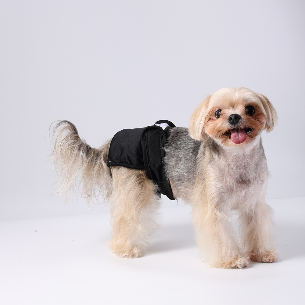 Dog physiological pants
