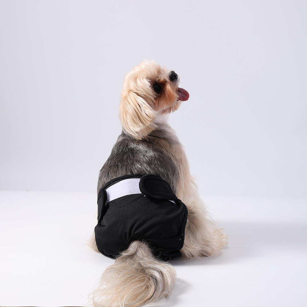 Dog physiological pants