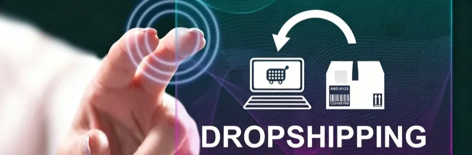 Organic Dropshipping: How to Build a Profitable Store Without Paid Ads