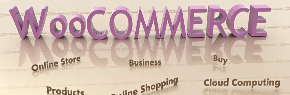 WooCommerce Dropshipping: Best Plugins, Suppliers & Complete Guide in 2026