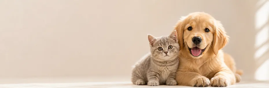 How to Start a Pet Products Dropshipping Business in 2026