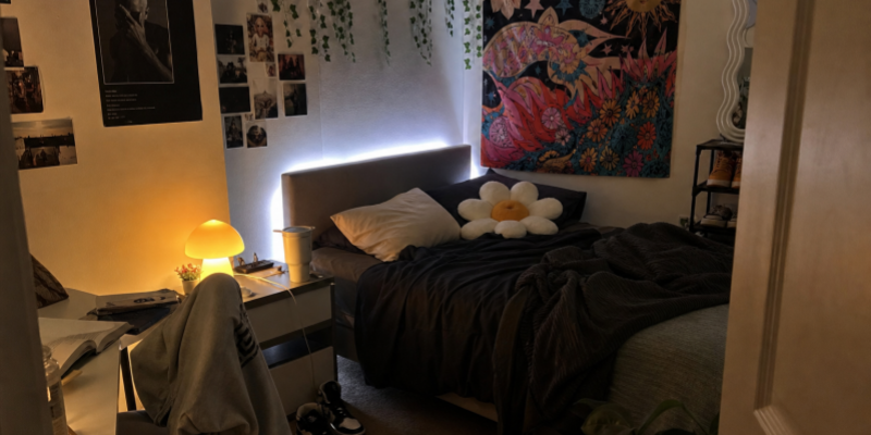 GenZ aesthetic bedroom decor ideas for home decor dropshipping