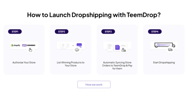 TeemDrop how to launch dropshipping 4 step guide