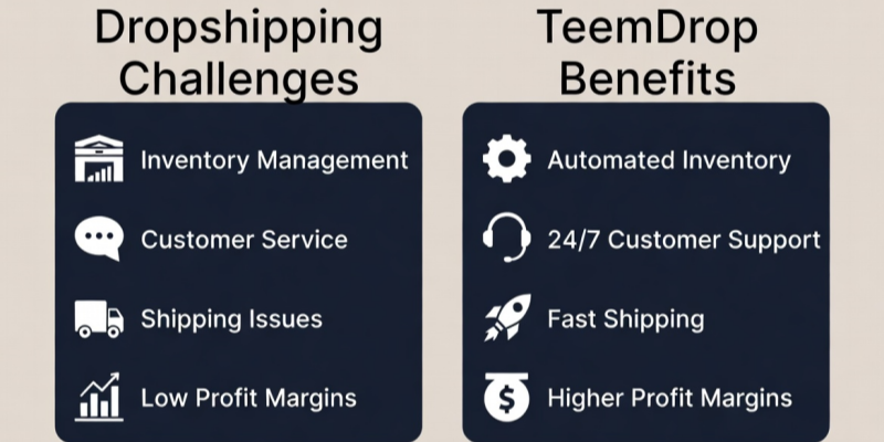 Dropshipping challenges and Teemdrop benefits